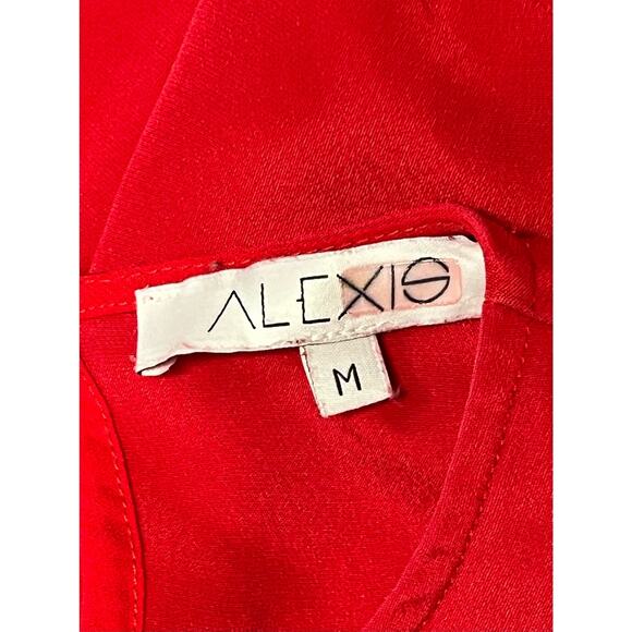 Alexis Red Ruffle Hazel Dress M - Picture 11 of 11